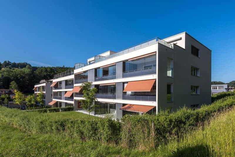 Grosse neuwertig 4.5 Zi-Attikwohnung 131 m2 (1)