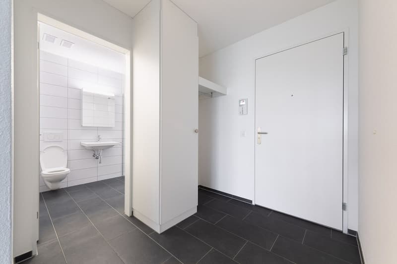 Hochwertige 2.5 Zi-Wohnung 59m2 (8)