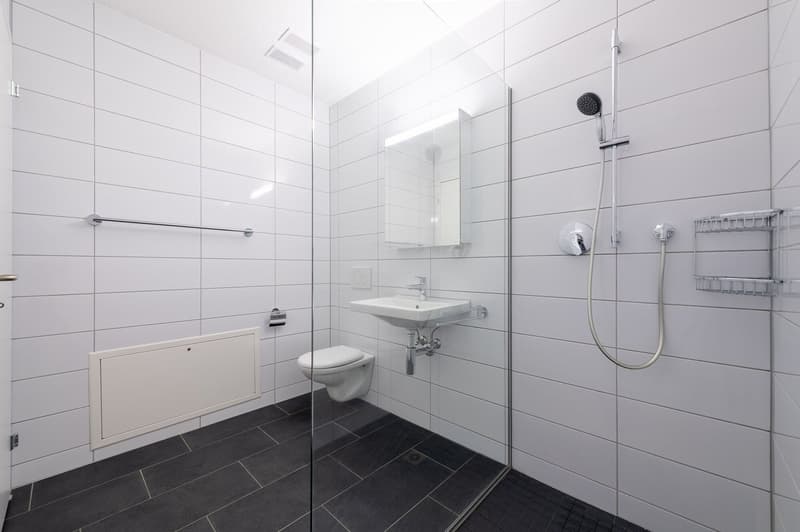 Hochwertige 2.5 Zi-Wohnung 59m2 (9)