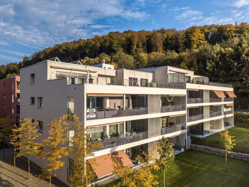 Neuwertige 4.5 Zi-Wohnung nähe Wald und Spital (1)