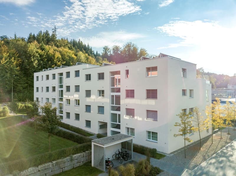 Neuwertige 3.5 Zi-Wohnung 93 m2 nähe Wald und Spital (2)