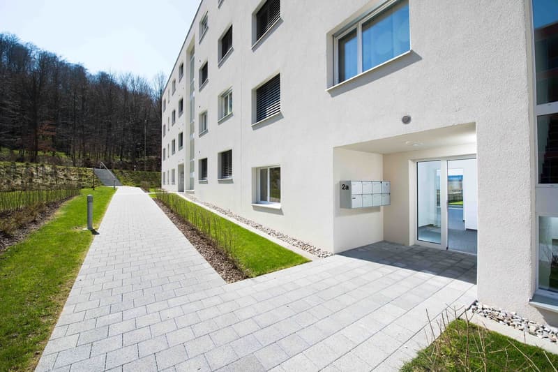 Neuwertige 3.5 Zi-Wohnung 93 m2 nähe Wald und Spital (11)