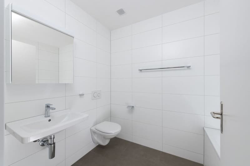 Neuwertige 3.5 Zi-Wohnung im Grünen 102m2 (7)