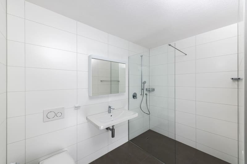 Neuwertige 3.5 Zi-Wohnung im Grünen 102m2 (6)