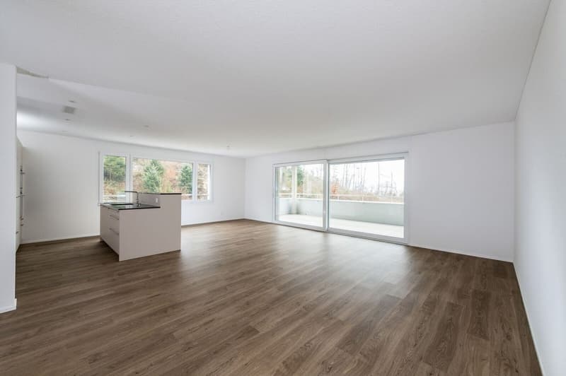 Neuwertige 3.5 Zi-Wohnung im Grünen 102m2 (2)