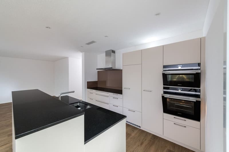 Neuwertige 3.5 Zi-Wohnung im Grünen 102m2 (4)