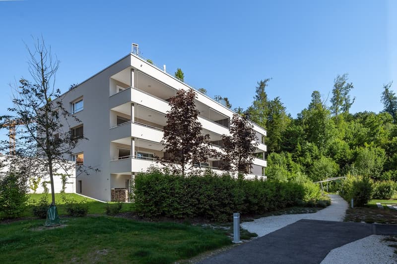Neuwertige 3.5 Zi-Wohnung im Grünen 102m2 (1)