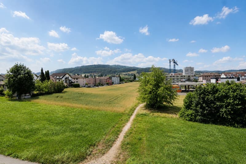 Grosszügige 4.5-Zimmer-Eigentumswohnung mit verglastem Balkon in Reinach AG (4)