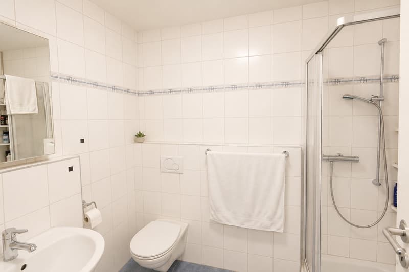 Grosszügige 4.5-Zimmer-Eigentumswohnung mit verglastem Balkon in Reinach AG (15)