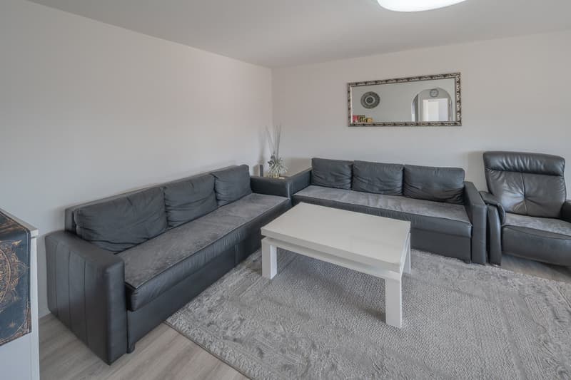 living room with two sofas, a coffee table, a mirror, and a rug