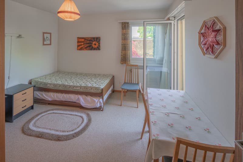 5.5-Zimmer-Wohnung zum renovieren in Oberhasli - erfüllen Sie sich Ihren Wunsch (10)