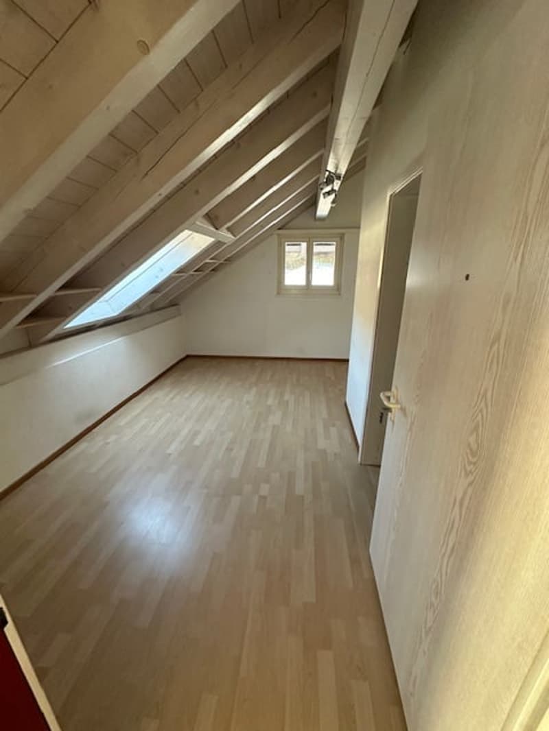 Empty attic room, hardwood floor, vaulted ceiling, skylights, wooden beam, open door