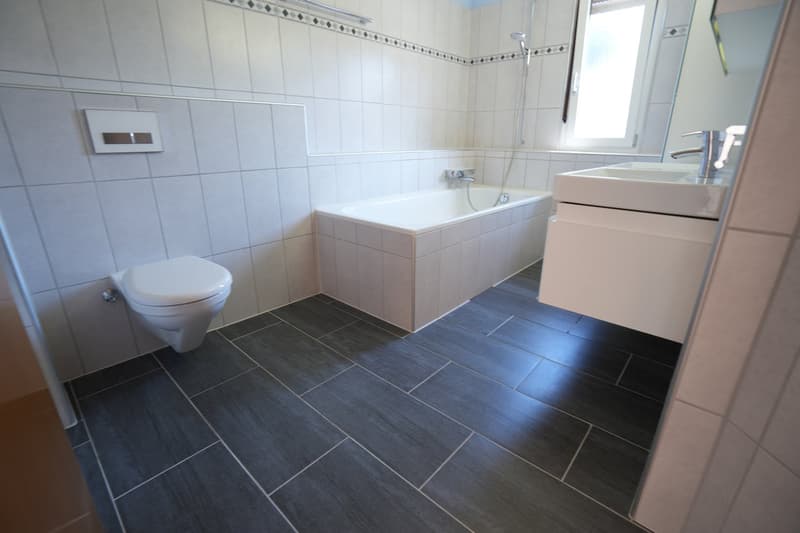 Sonniges 4-Zimmer-Doppeleinfamilienhaus mit Terrasse und Gartenhof in ruhiger Lage (12)