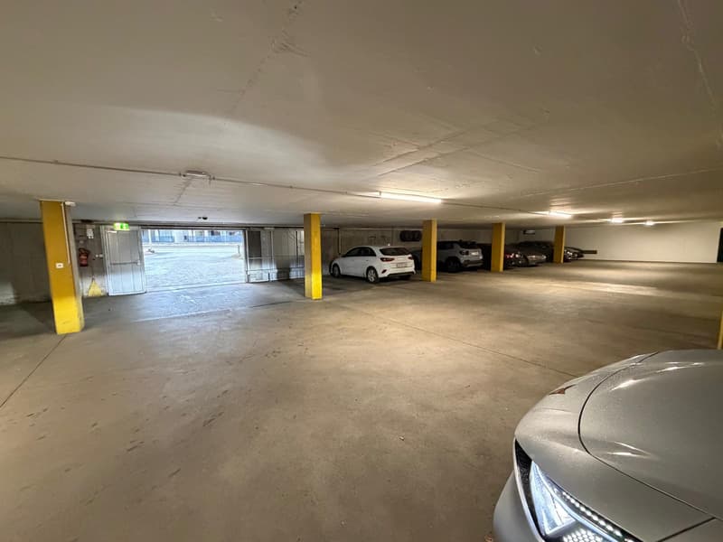 Garagen-Parkplätze zu vermieten (1)