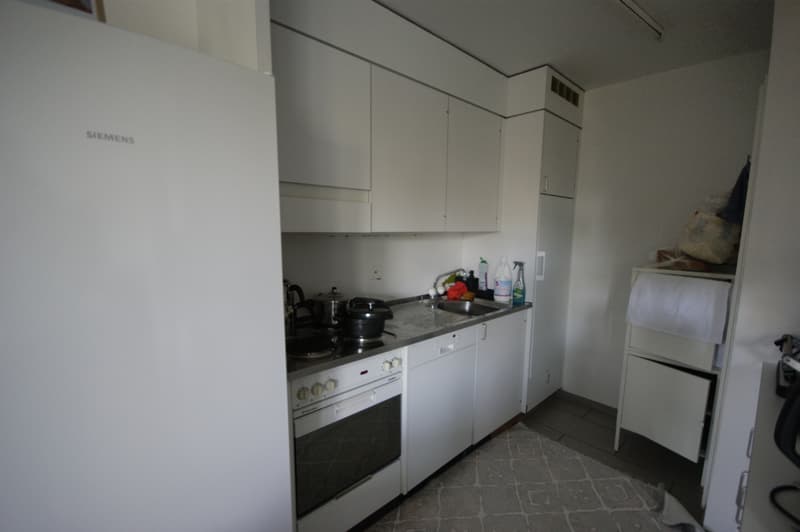 Appartement lumineux 3.5 pièces (3)
