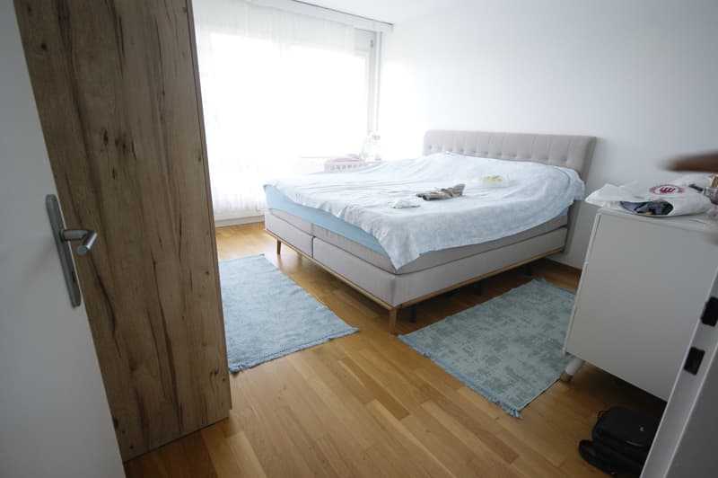 Appartement lumineux 3.5 pièces (4)