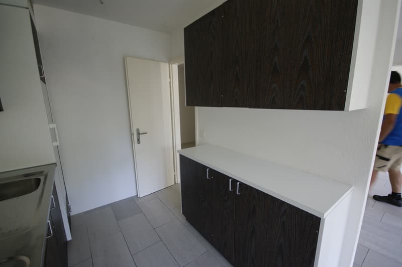 Appartement lumineux 3.5 pièces (2)