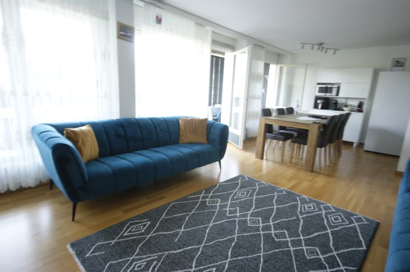 Appartement lumineux 3.5 pièces (6)