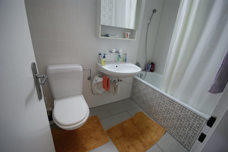Appartement lumineux 3.5 pièces (10)