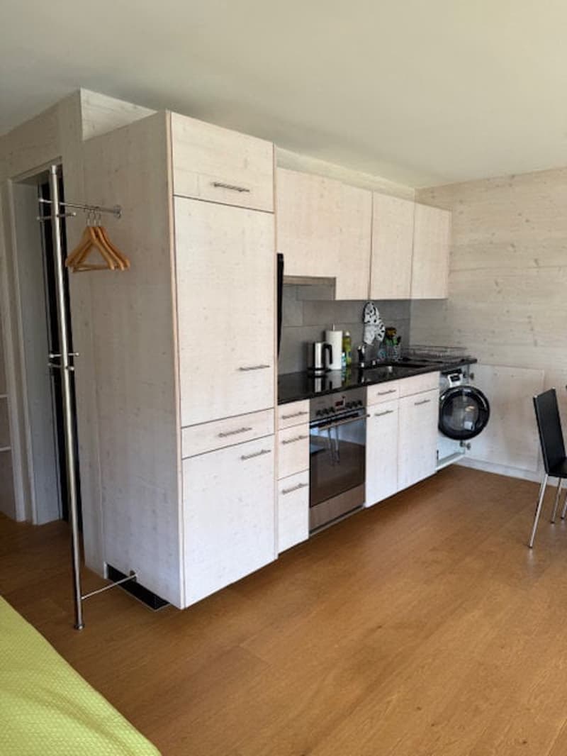 modern kitchen with white cabinets, wooden floor, black countertops, stainless steel appliances, washing machine
