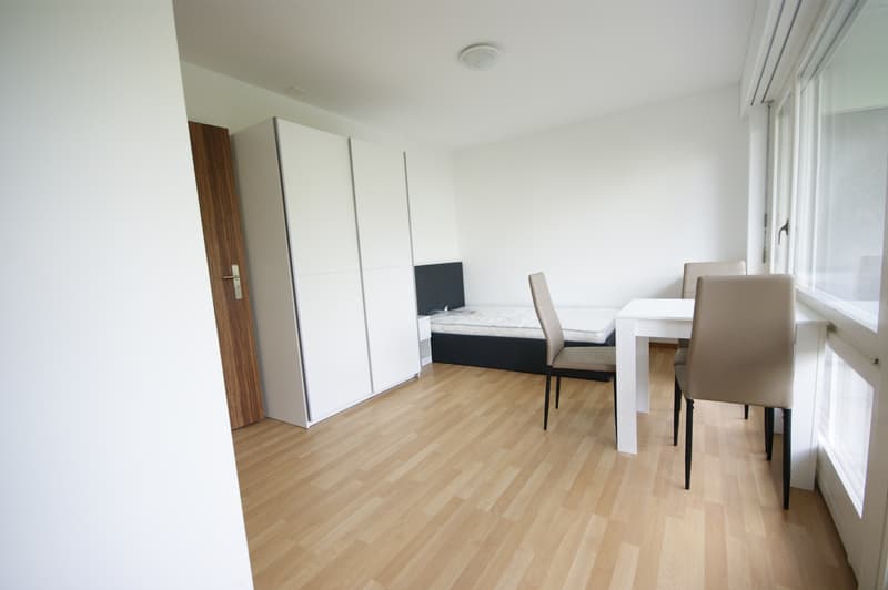 1-Zimmer Studio mit Bad und Balkon (möbliert) (1)