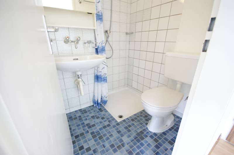 1-Zimmer Studio mit Bad und Balkon (möbliert) (7)