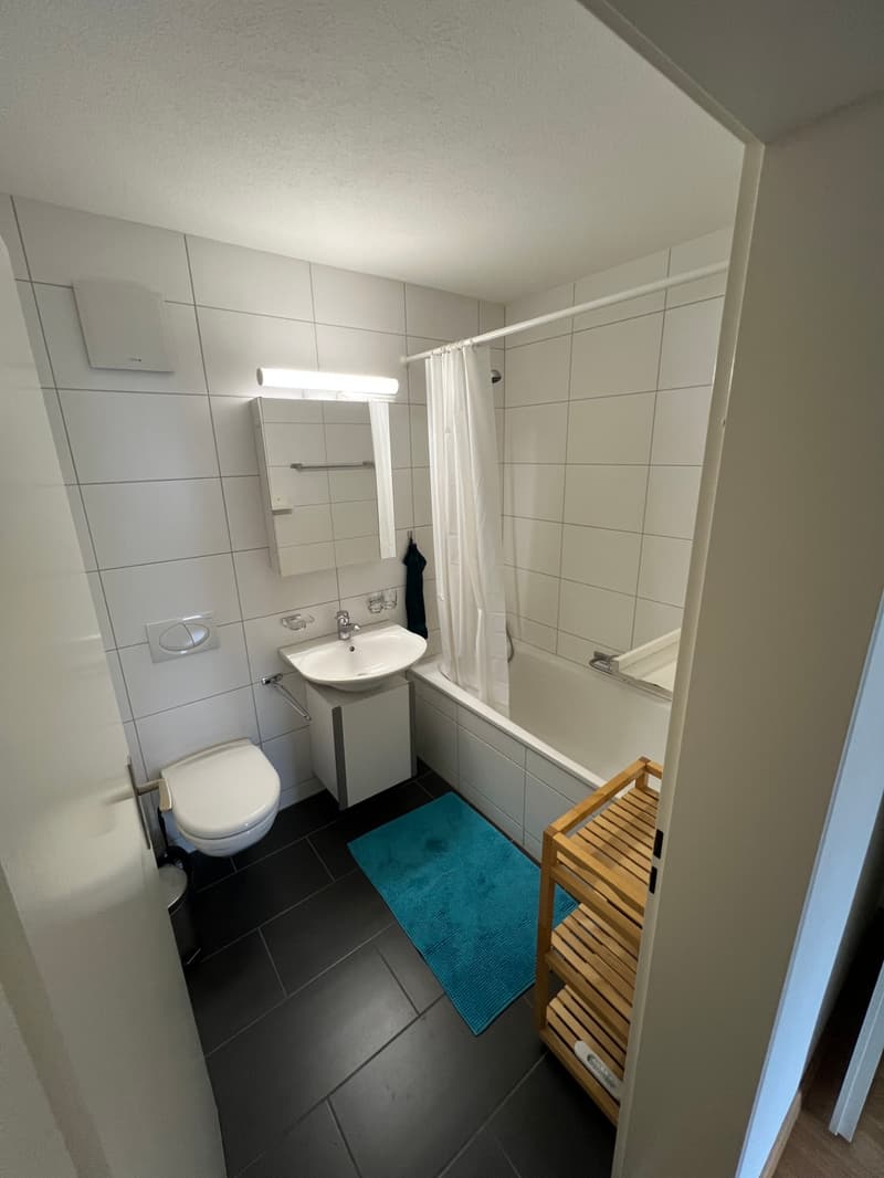 3.5 Zimmerwohnung an bevorzugter Lage in Bassersdorf (9)