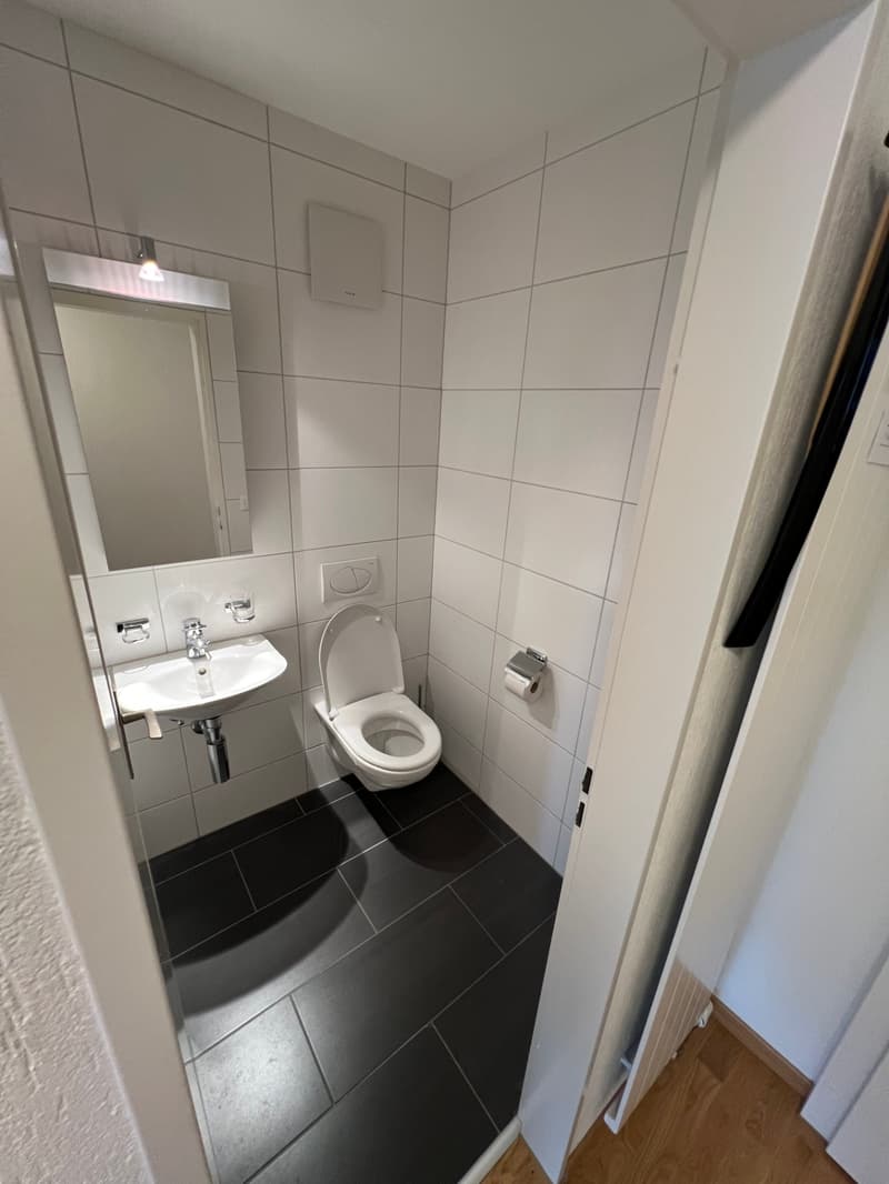 3.5 Zimmerwohnung an bevorzugter Lage in Bassersdorf (8)