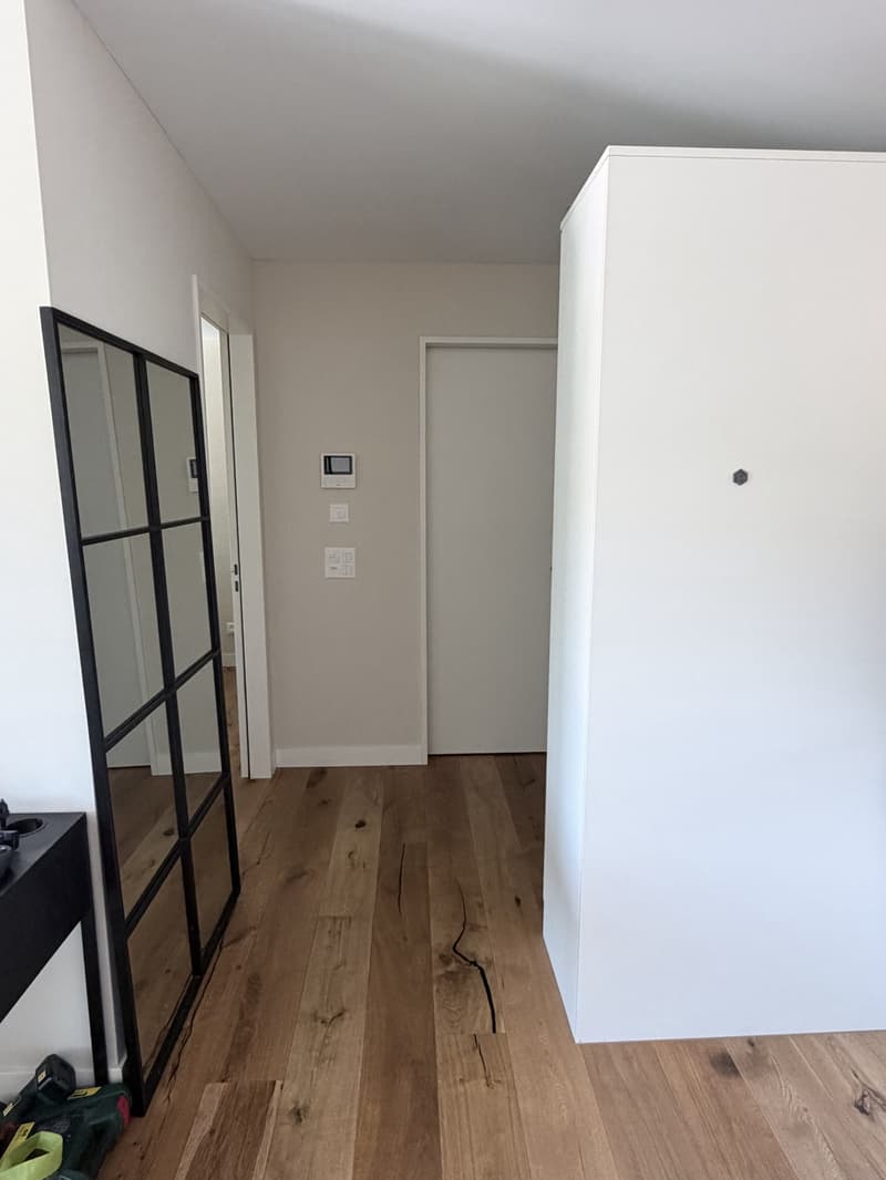 Neubau 2.5-Zimmerwohnung mit Balkon (4)