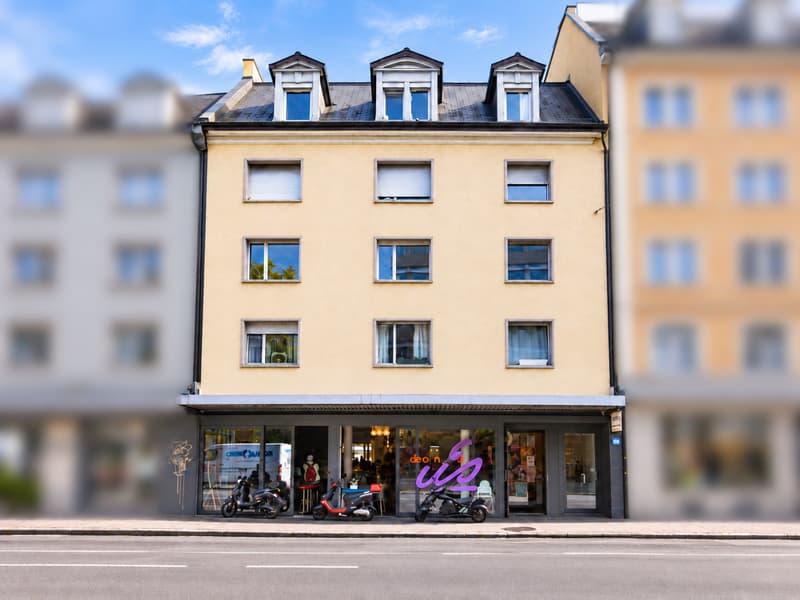 Blick auf den Helvetiaplatz - mitten im Herzen von Zürich (1)
