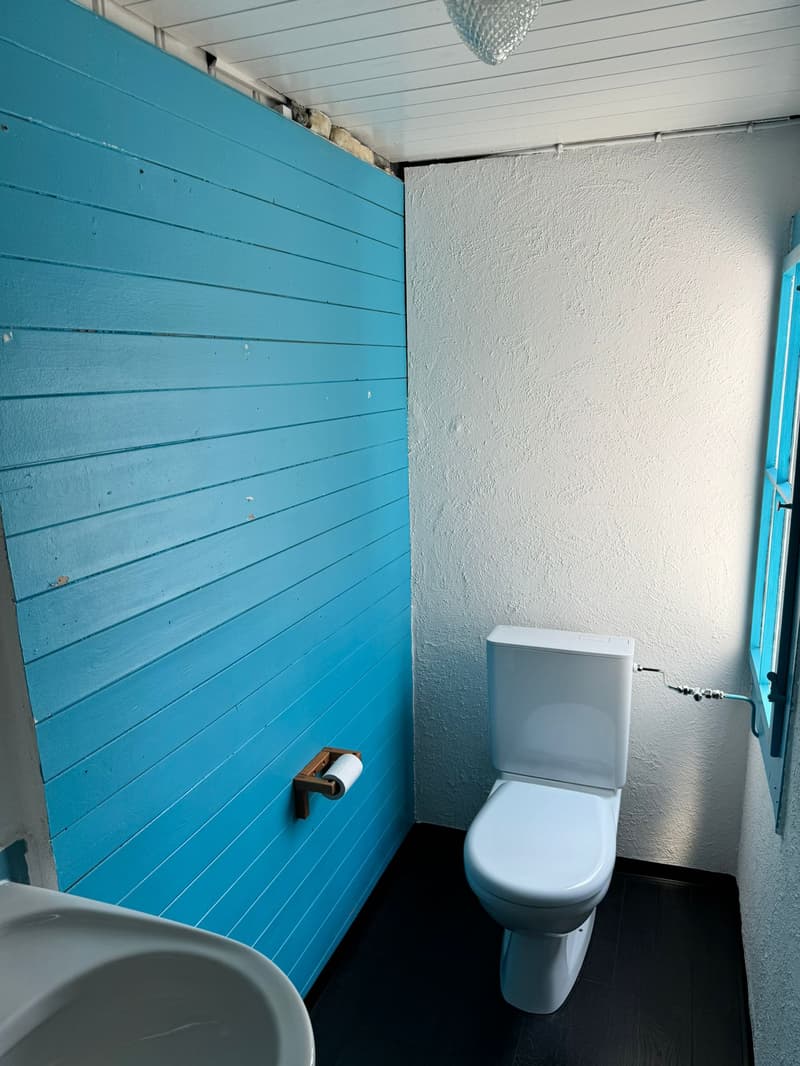 Charmante 4-Zimmerwohnung im Herzen von Biel (8)