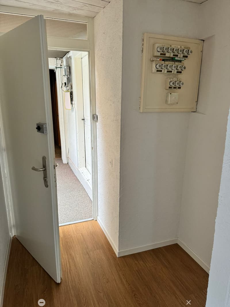 Charmante 4-Zimmerwohnung im Herzen von Biel (6)