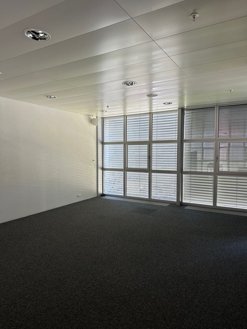 modern room with glass wall, ceiling lights, power outlets, and gray carpet