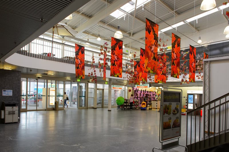 Entrance hall, glass doors, banners with autumn leaves, staircase, escalator