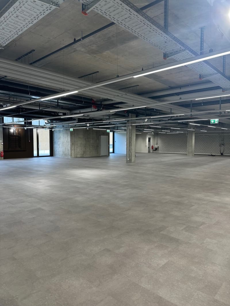 Gewerbefläche an Toplage nahe Flughafen Zürich (2)
