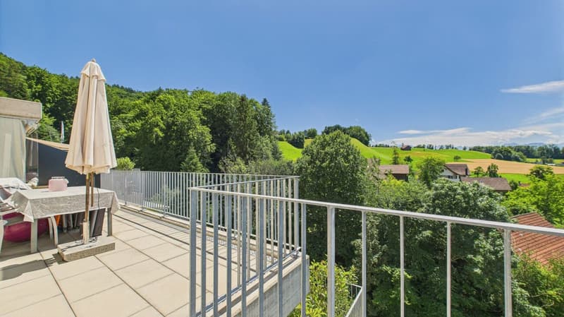 Exklusive Terrassenwohnung mit atemberaubendem Panorama (2)