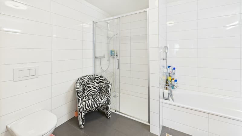 Exklusive Terrassenwohnung mit atemberaubendem Panorama (21)