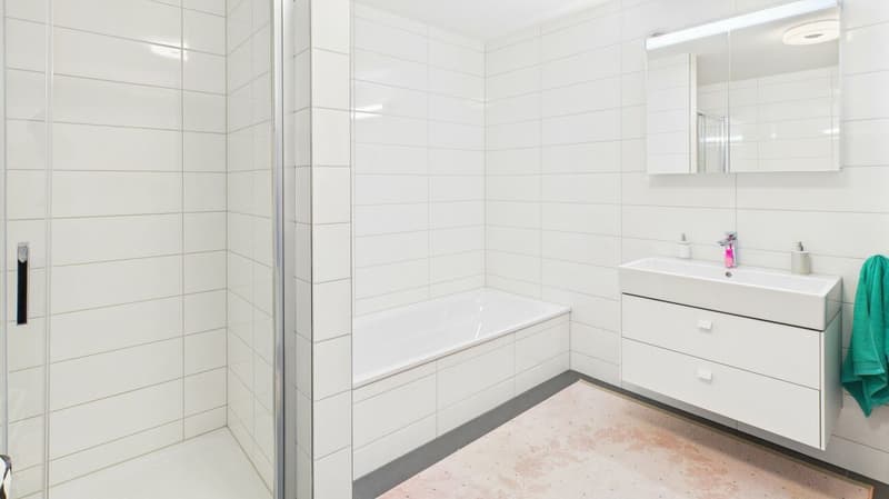 Exklusive Terrassenwohnung mit atemberaubendem Panorama (20)