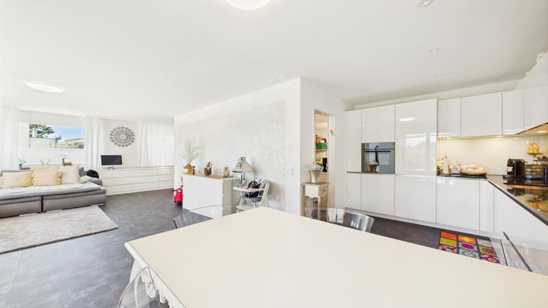 Exklusive Terrassenwohnung mit atemberaubendem Panorama (11)