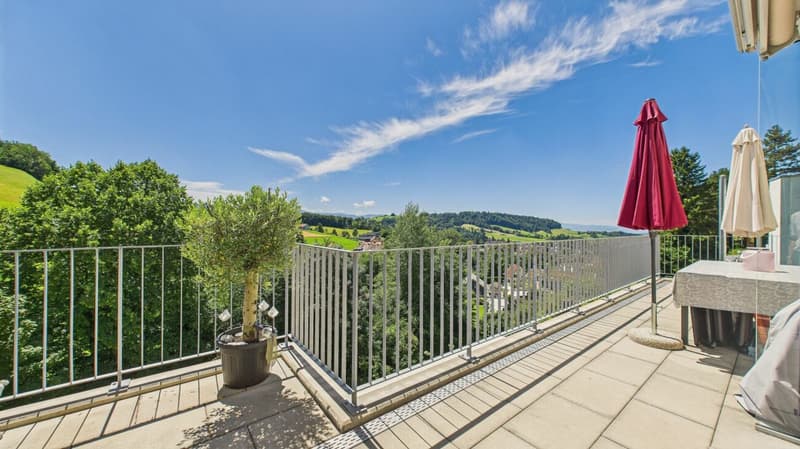 Exklusive Terrassenwohnung mit atemberaubendem Panorama (1)