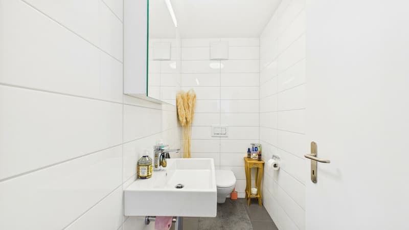Exklusive Terrassenwohnung mit atemberaubendem Panorama (19)