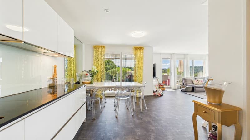 Exklusive Terrassenwohnung mit atemberaubendem Panorama (13)