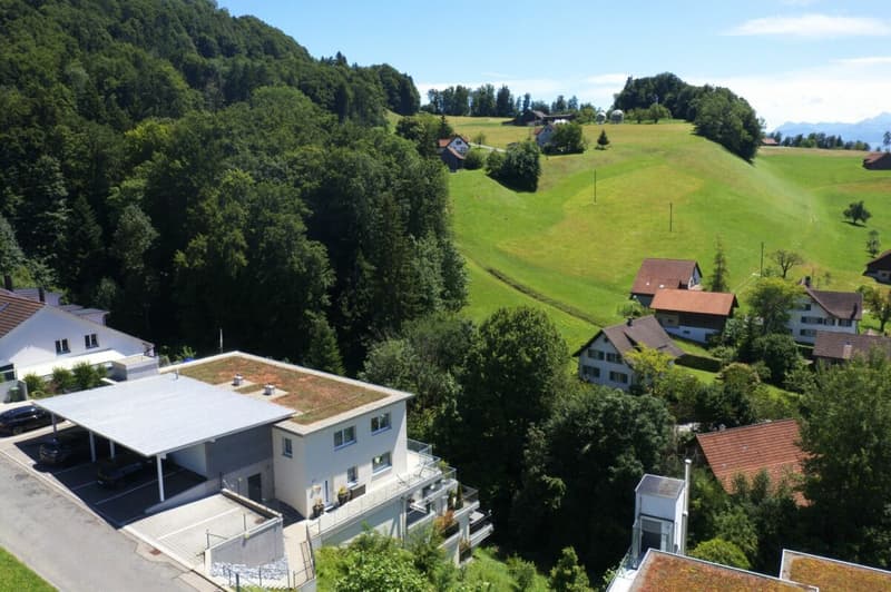 Exklusive Terrassenwohnung mit atemberaubendem Panorama (7)