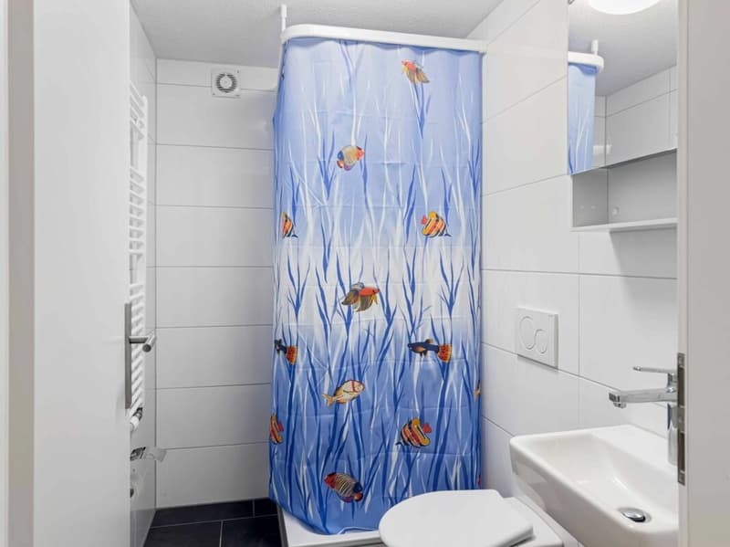 Charmantes Zimmer mit Gemeinschaftsküche - ländlich und doch zentral (9)