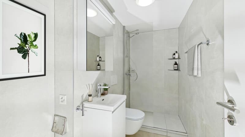 Moderne 3.5-Zimmer-Wohnung in Klingnau (5)