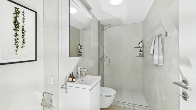 Attraktive 3.5-Zimmer-Wohnung in Klingnau (5)