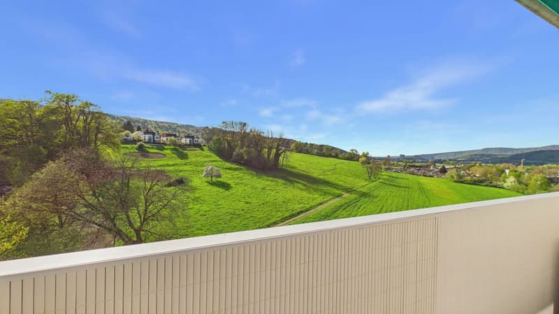 Stilvolles Wohnen an ruhiger und zentraler Lage in Dietikon (14)