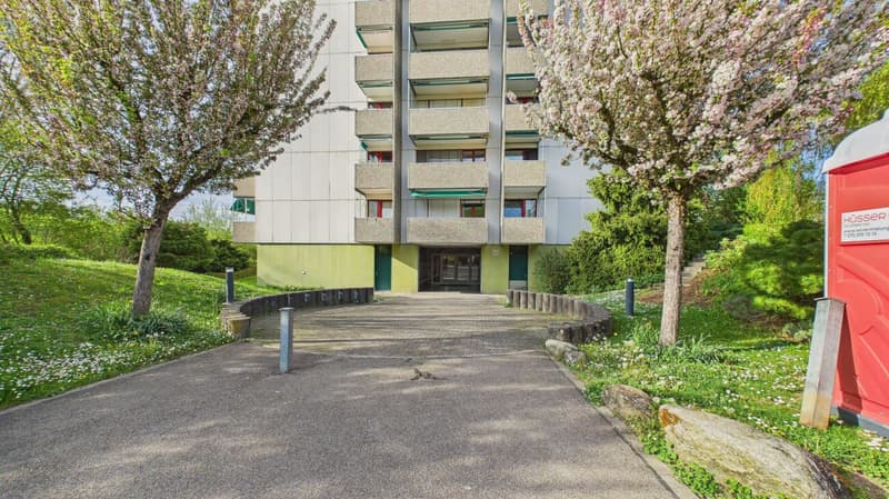 Stilvolles Wohnen an ruhiger und zentraler Lage in Dietikon (17)