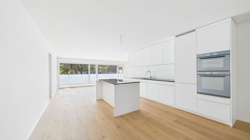Wohnen mit Weitblick an attraktiver Lage in Dietikon (8)