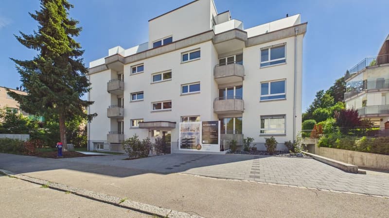 Wohnen mit Weitblick an attraktiver Lage in Dietikon (2)